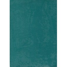 Ref. 78594 - DECALQUE FOLHA CHAPADA AZUL PAVAO 1320/001 Ref. 78594 - DECALQUE FOLHA CHAPADA AZUL PAVAO 1320/001